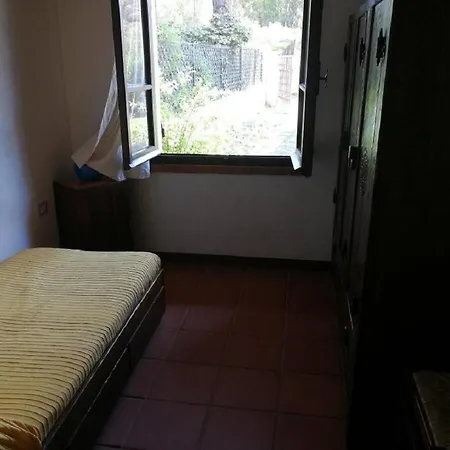 Centauro Torre delle Stelle